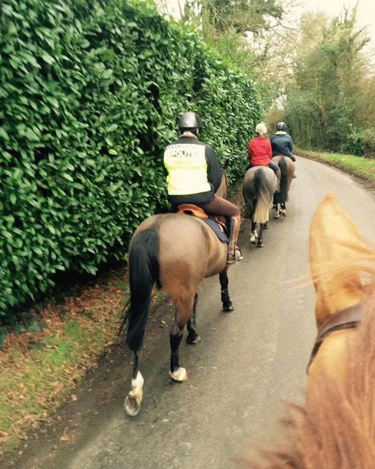 Merry Christmas and A Happy New Year