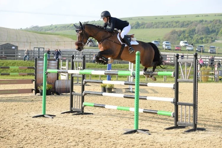 Pyecombe 4 day Show