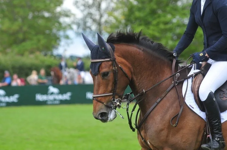 Hickstead Derby Show