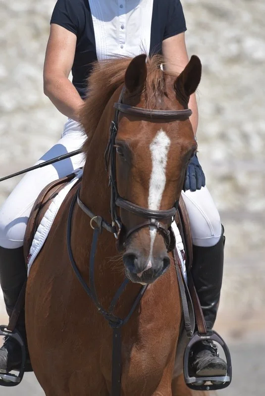 Three lovely weeks at home