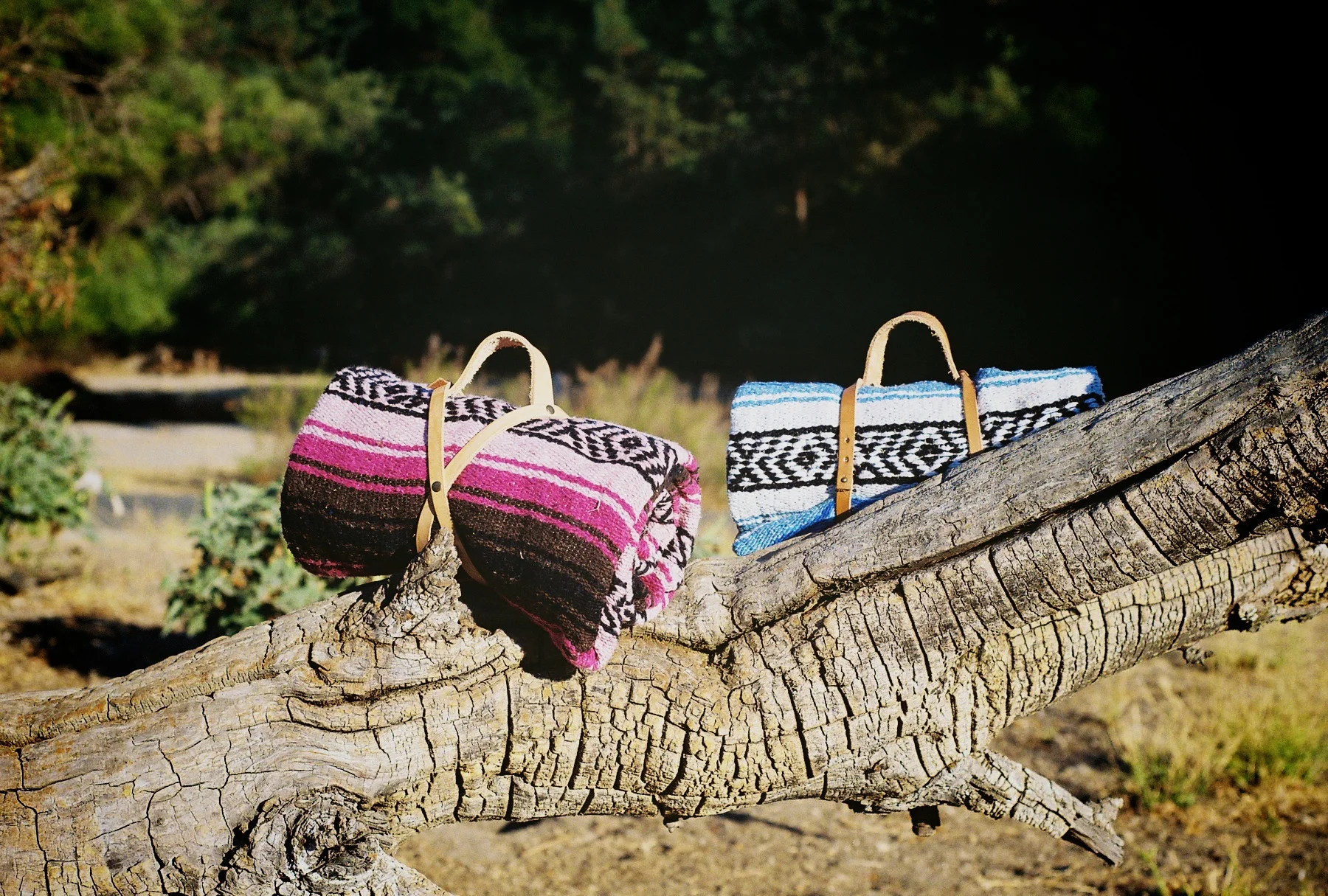 Pinnacles National Park | Part 2