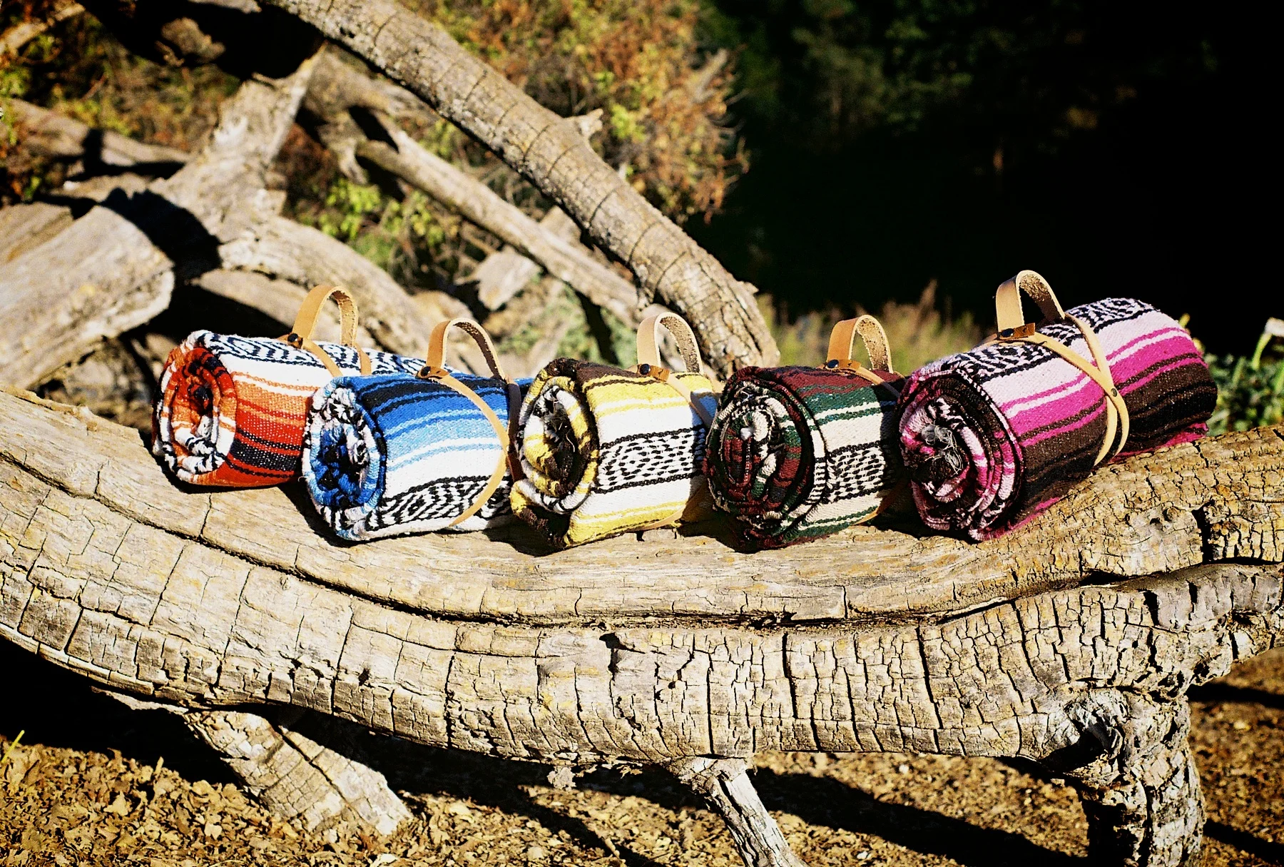 Pinnacles National Park | Part 1