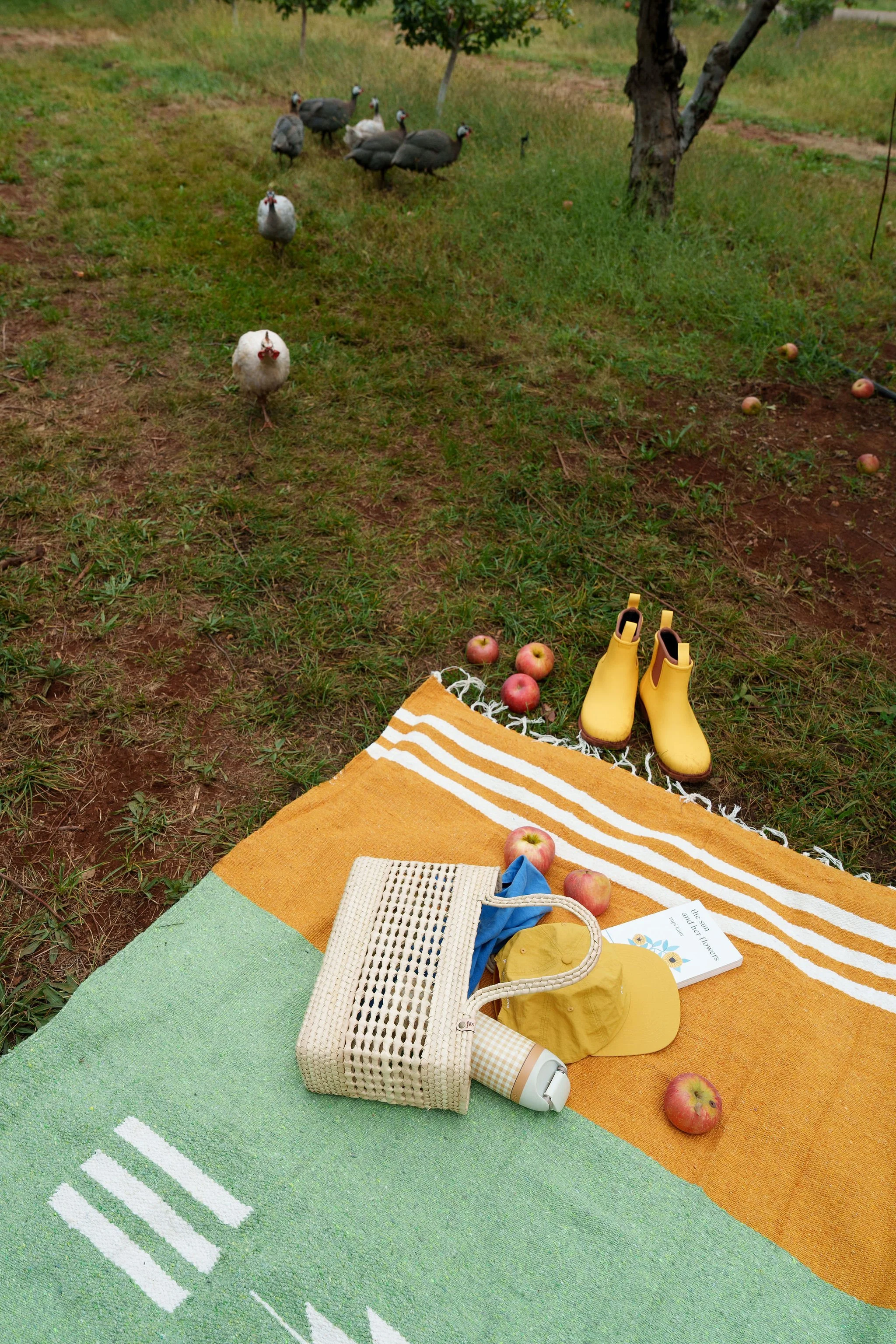 2025_10_01_ApplePickingCaminitoFall-54.jpg