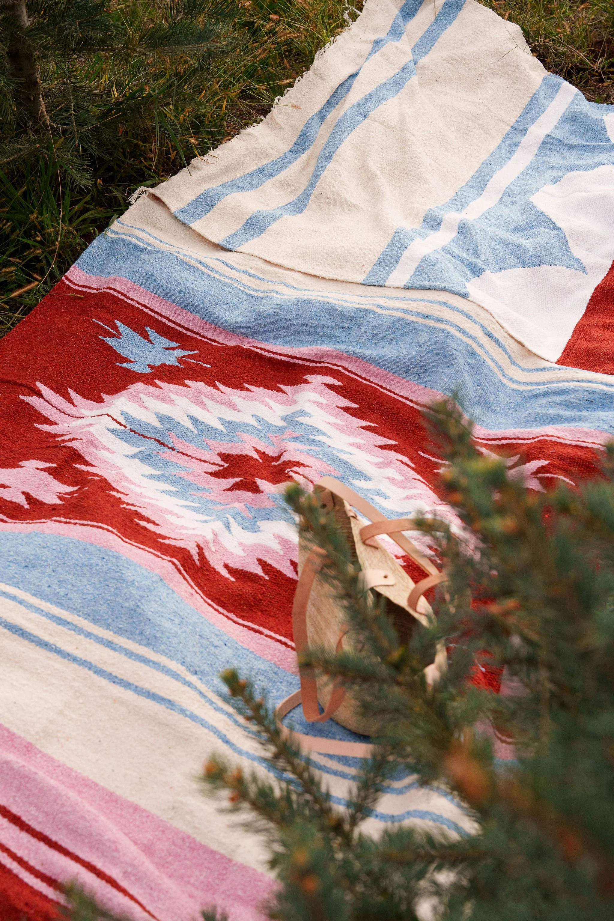 2025_10_01_ApplePickingCaminitoFall-286.jpg