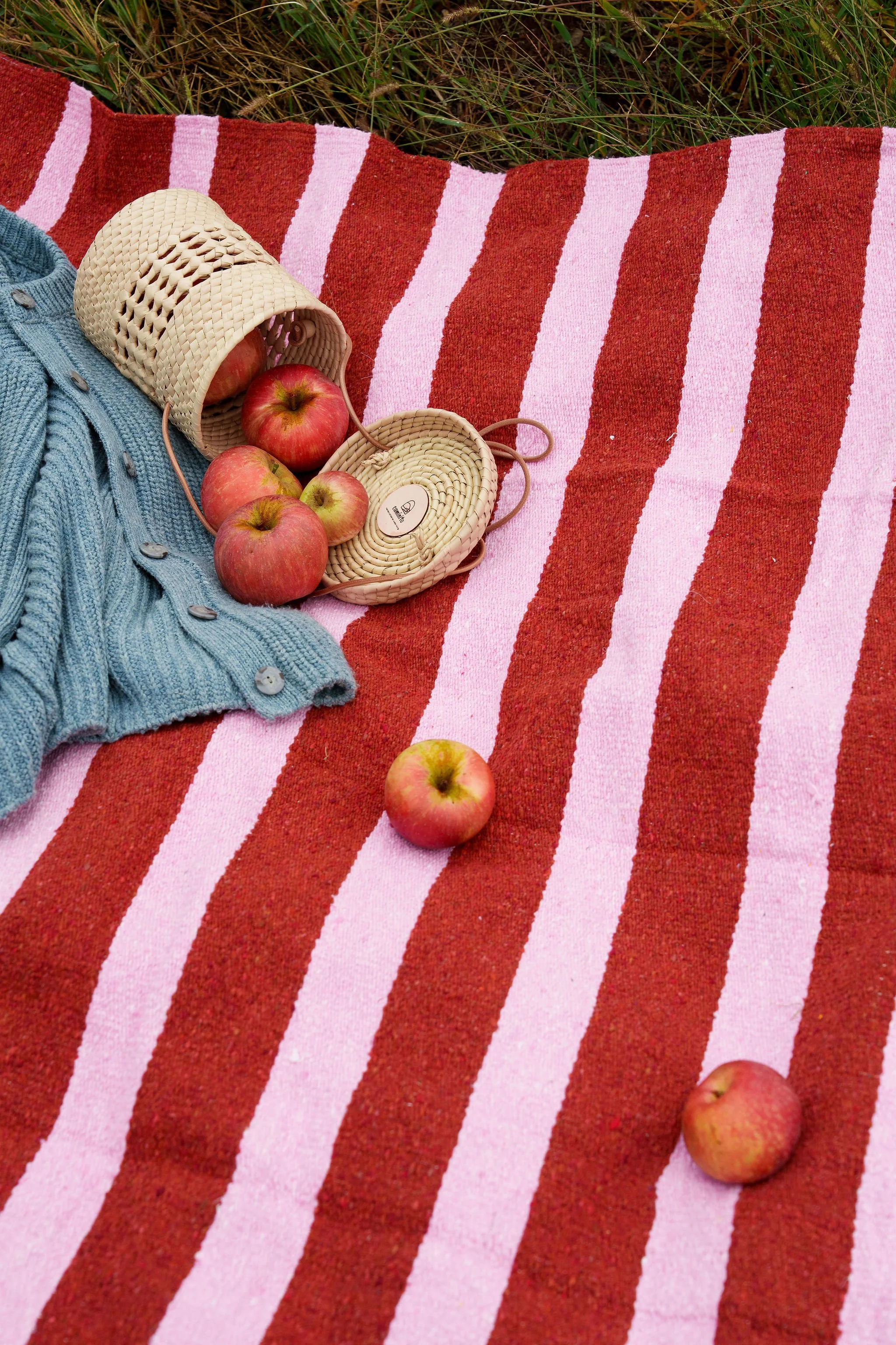 2025_10_01_ApplePickingCaminitoFall-85.jpg