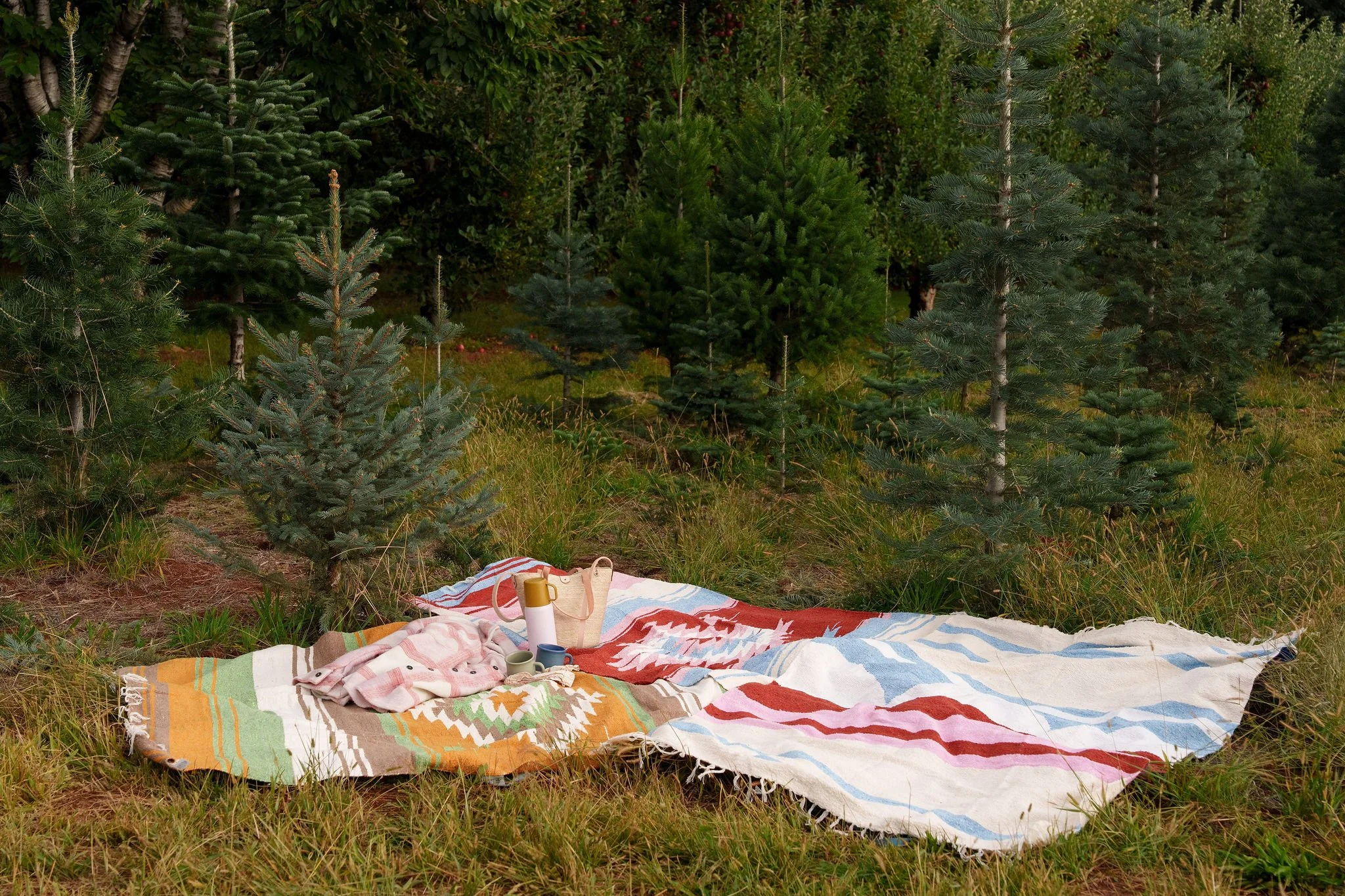 2025_10_01_ApplePickingCaminitoFall-253.jpg