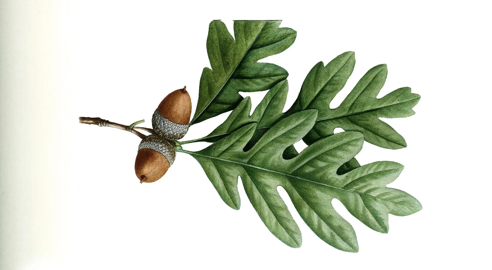 allgemeine Kosteninformation für Heilpraktikerbehandlung in Berlin