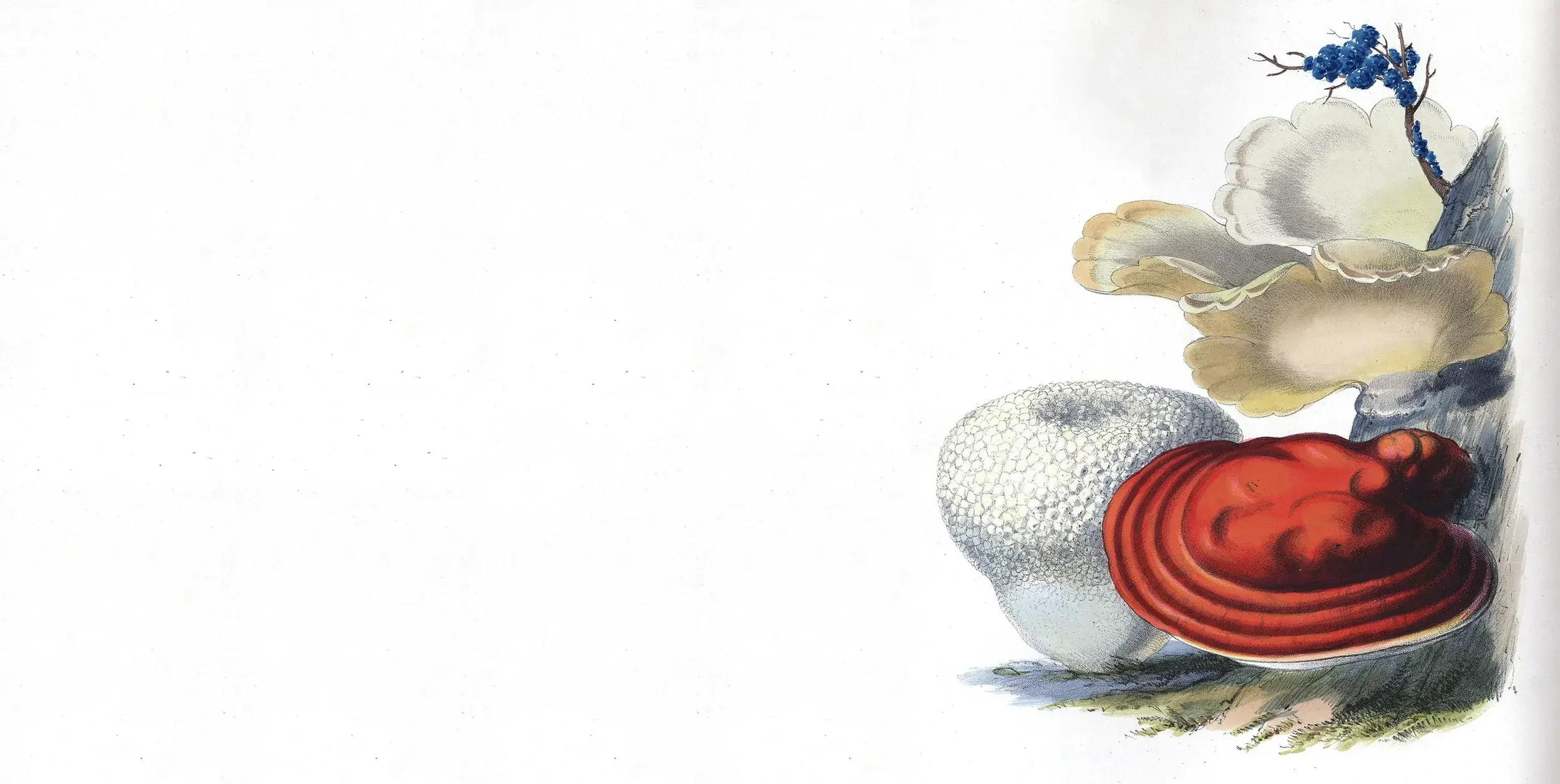 ganzheitliche Impfbegleitung und Impfausleitung bei Heilpraktikerin Expertin in Berlin