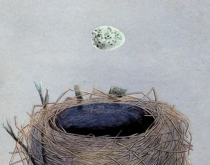 Vogelnest mit Ei als Symbol für unerfüllten Kinderwunsch und Frauengesundheit