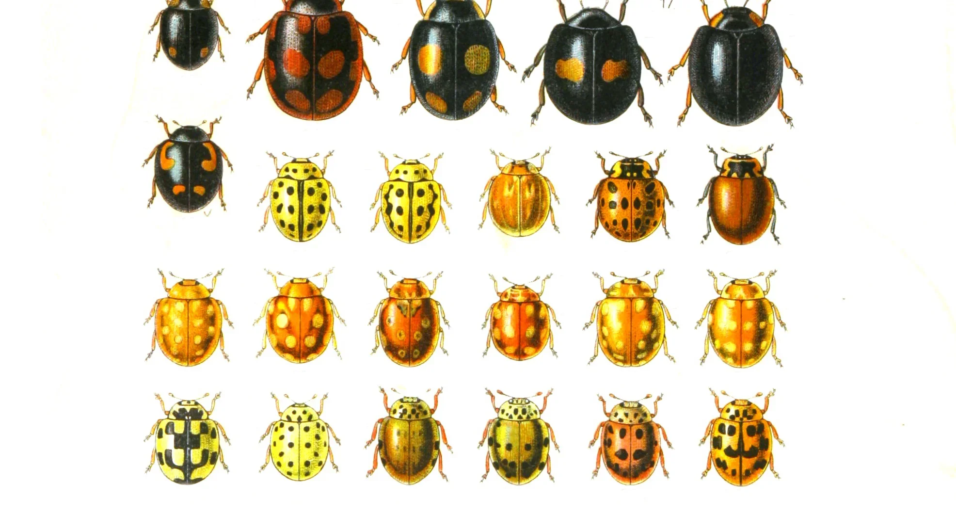 Systemische Aufstellungsarbeit zur Klärung von Beziehungsdynamiken oder Familiensystemen in Berlin