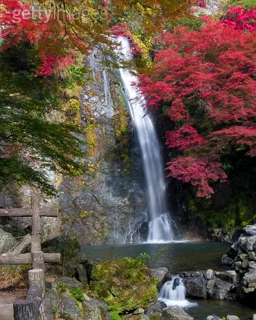 Lower Hutt trip to Minoh