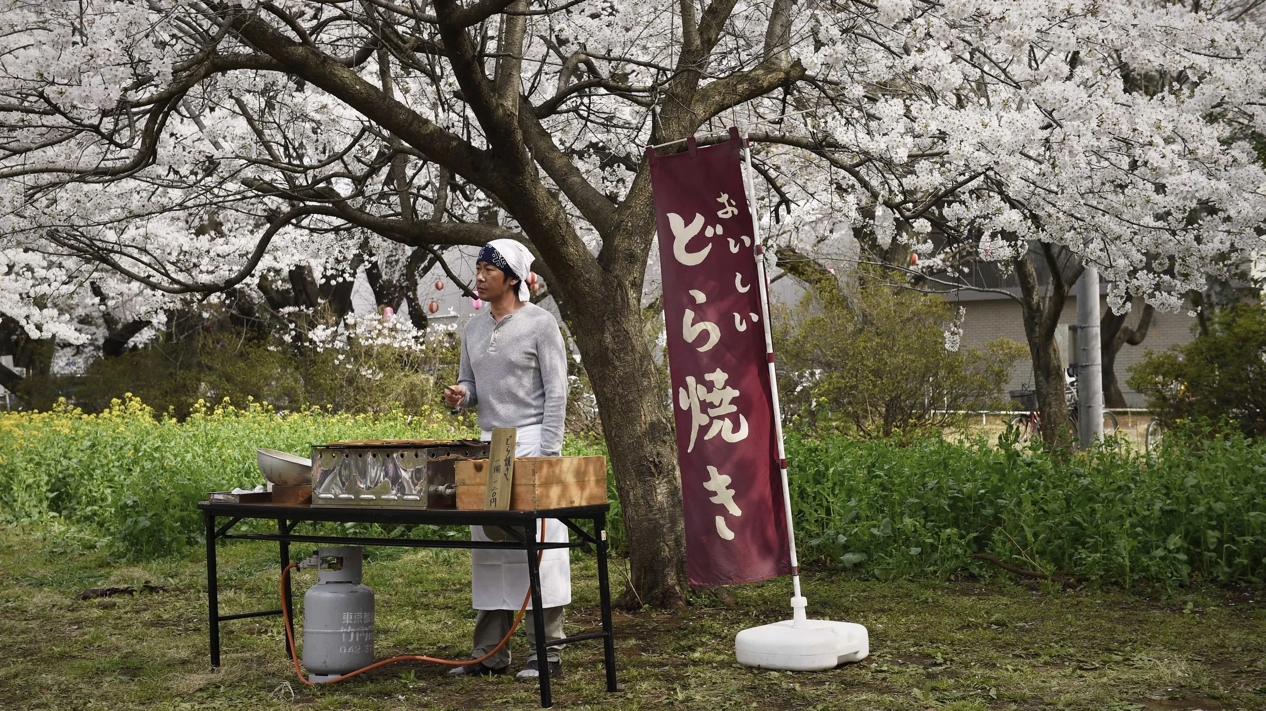 WIN! in season double passes to Japanese drama 'AN'