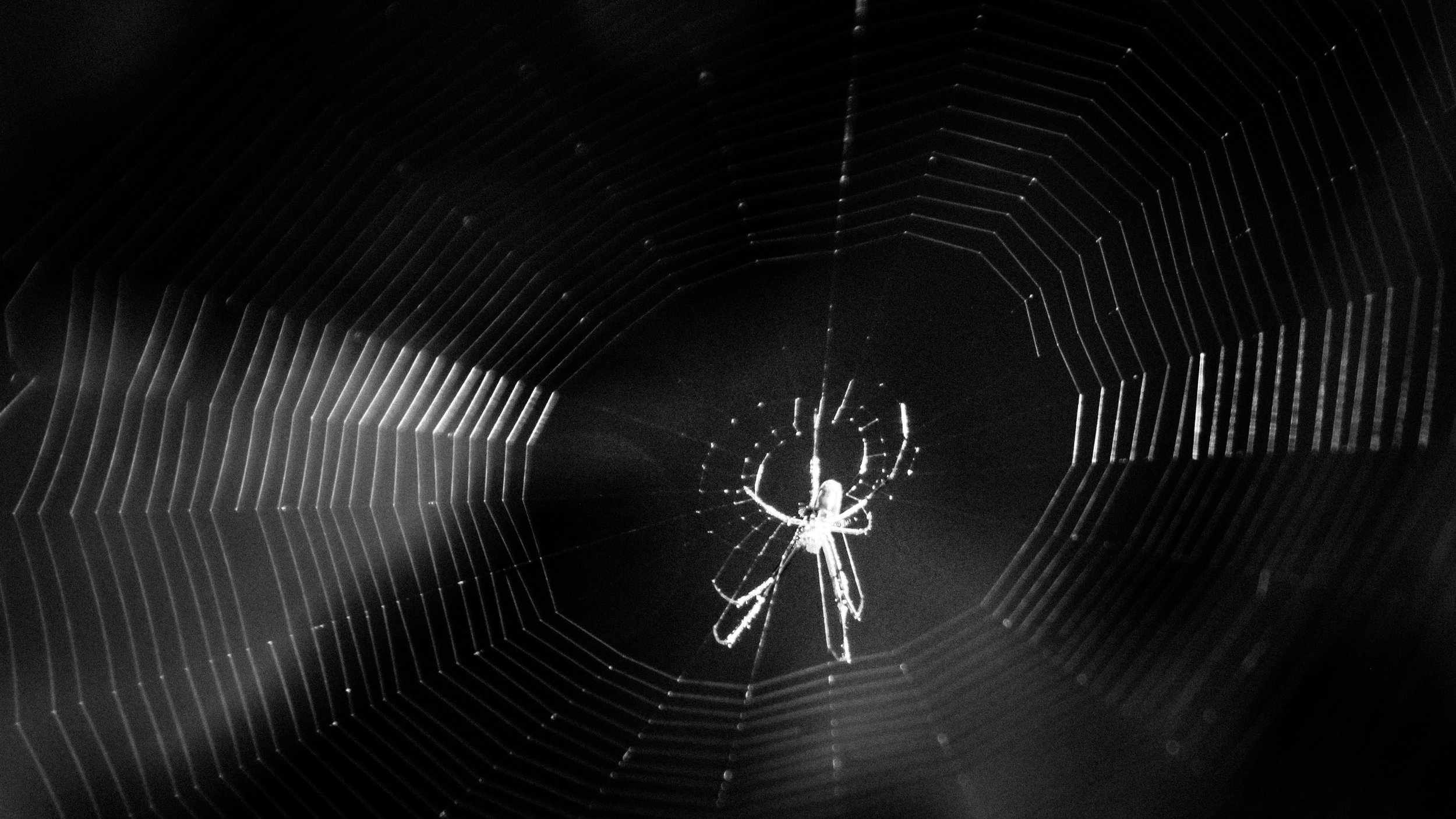 Image by Justin Mathews used under Creative Commons License