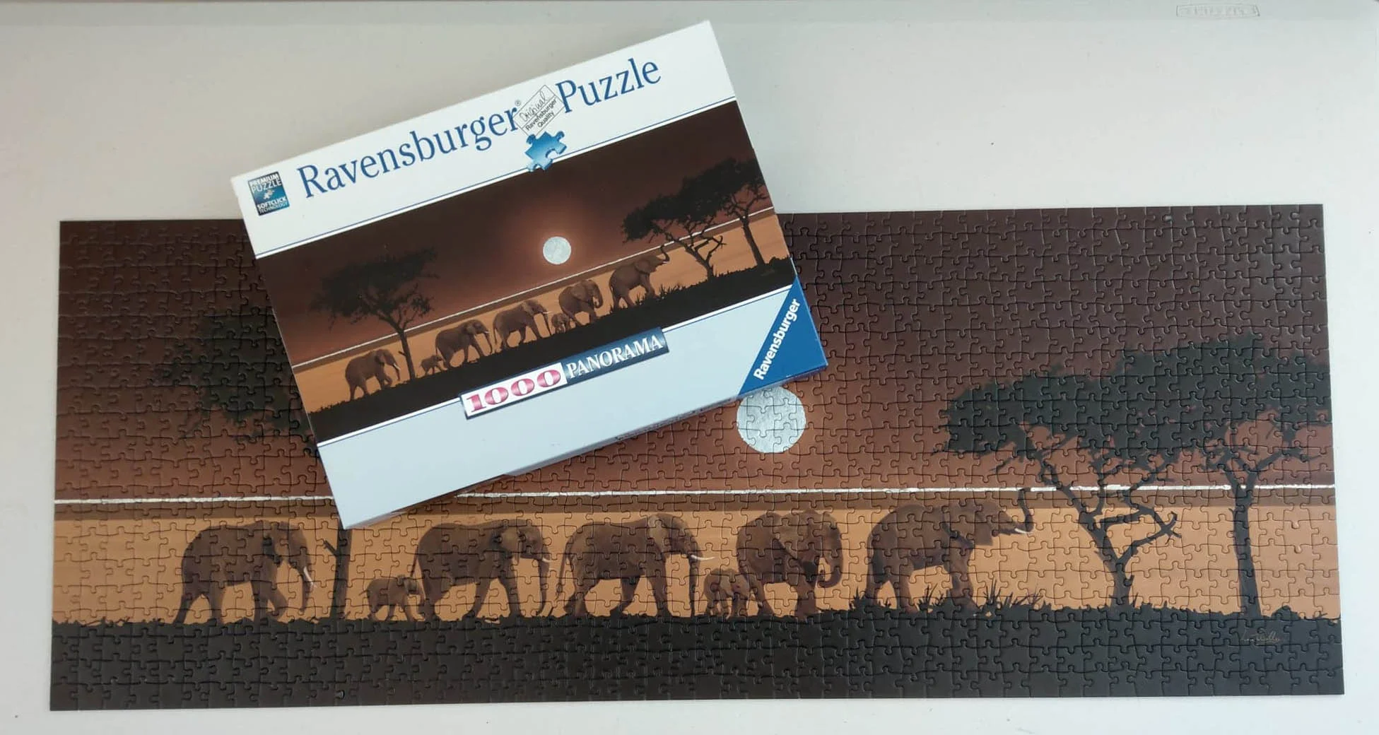 puzzle 7.jpg