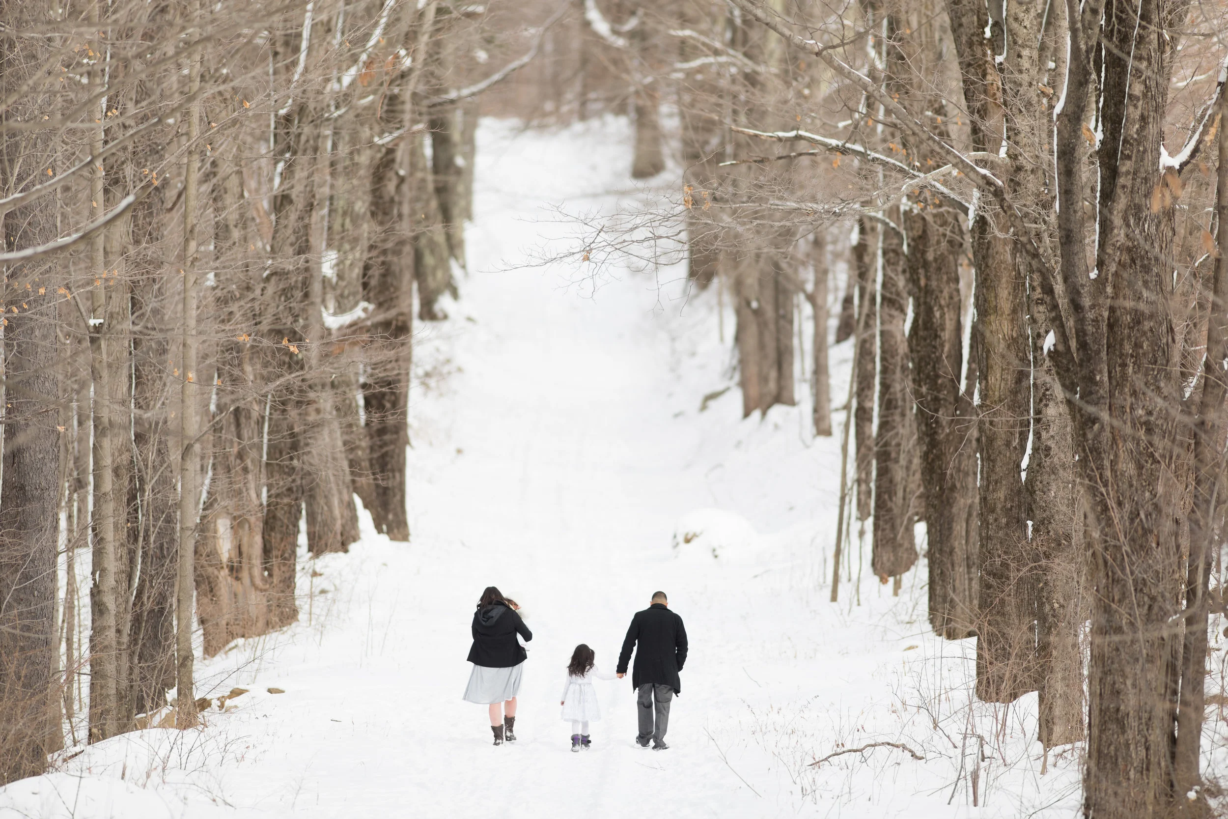 Moore State Park, Canon 200mm 1.8