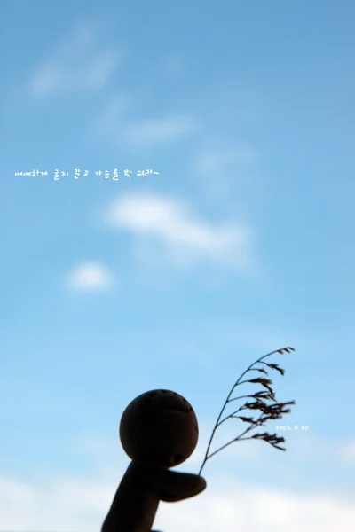 8.20_resize.jpg
