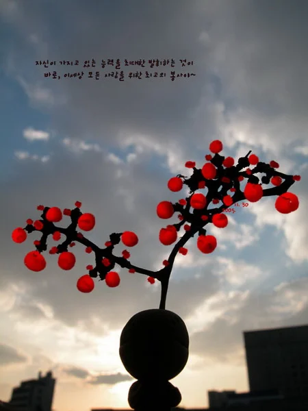 2005.11.30_resize.jpg