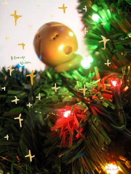 2005.12.21_resize.jpg