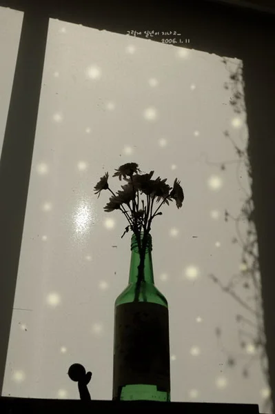 20060111_resize.jpg