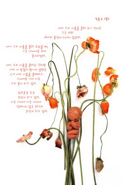 20060329_resize.jpg