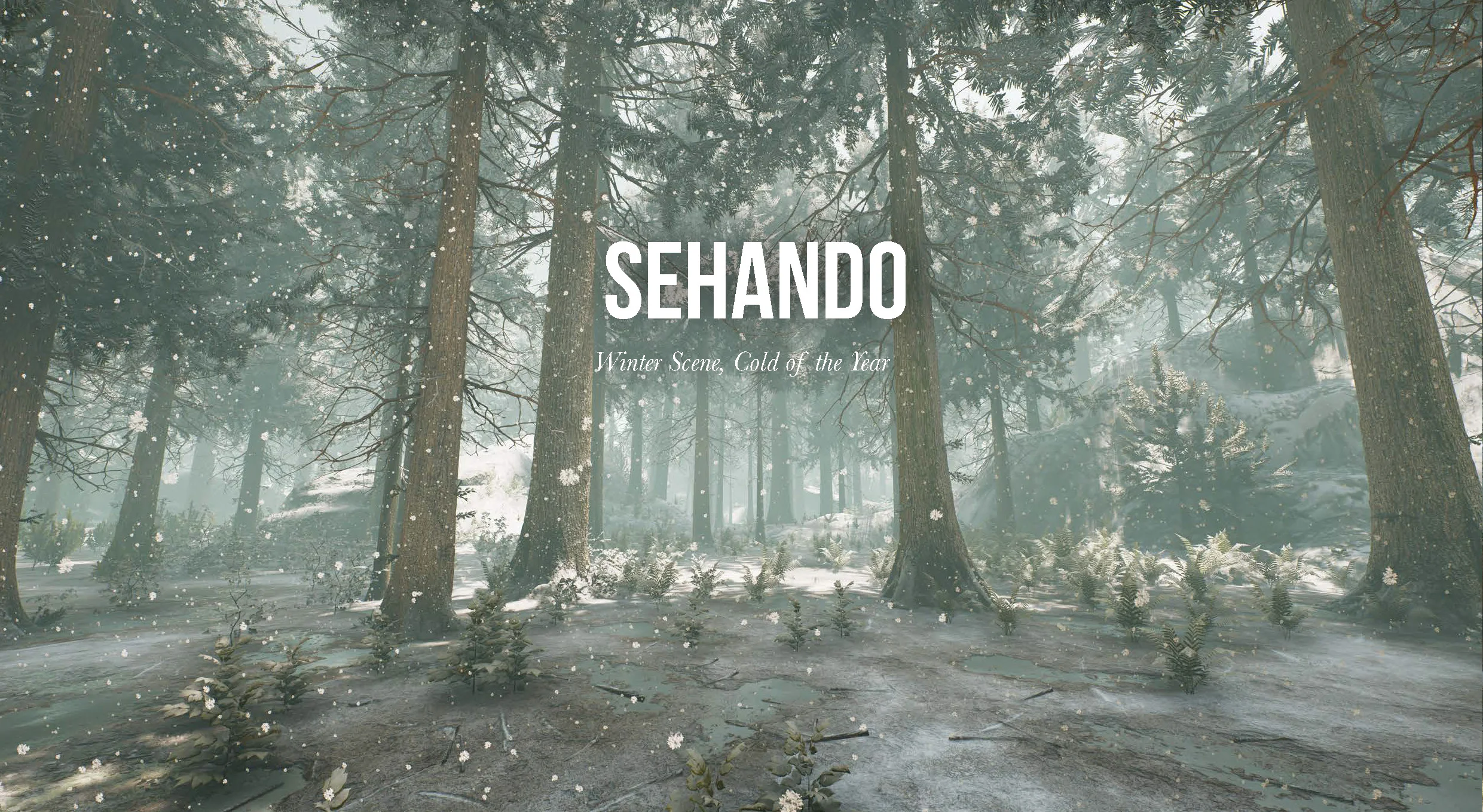 sehando.jpg