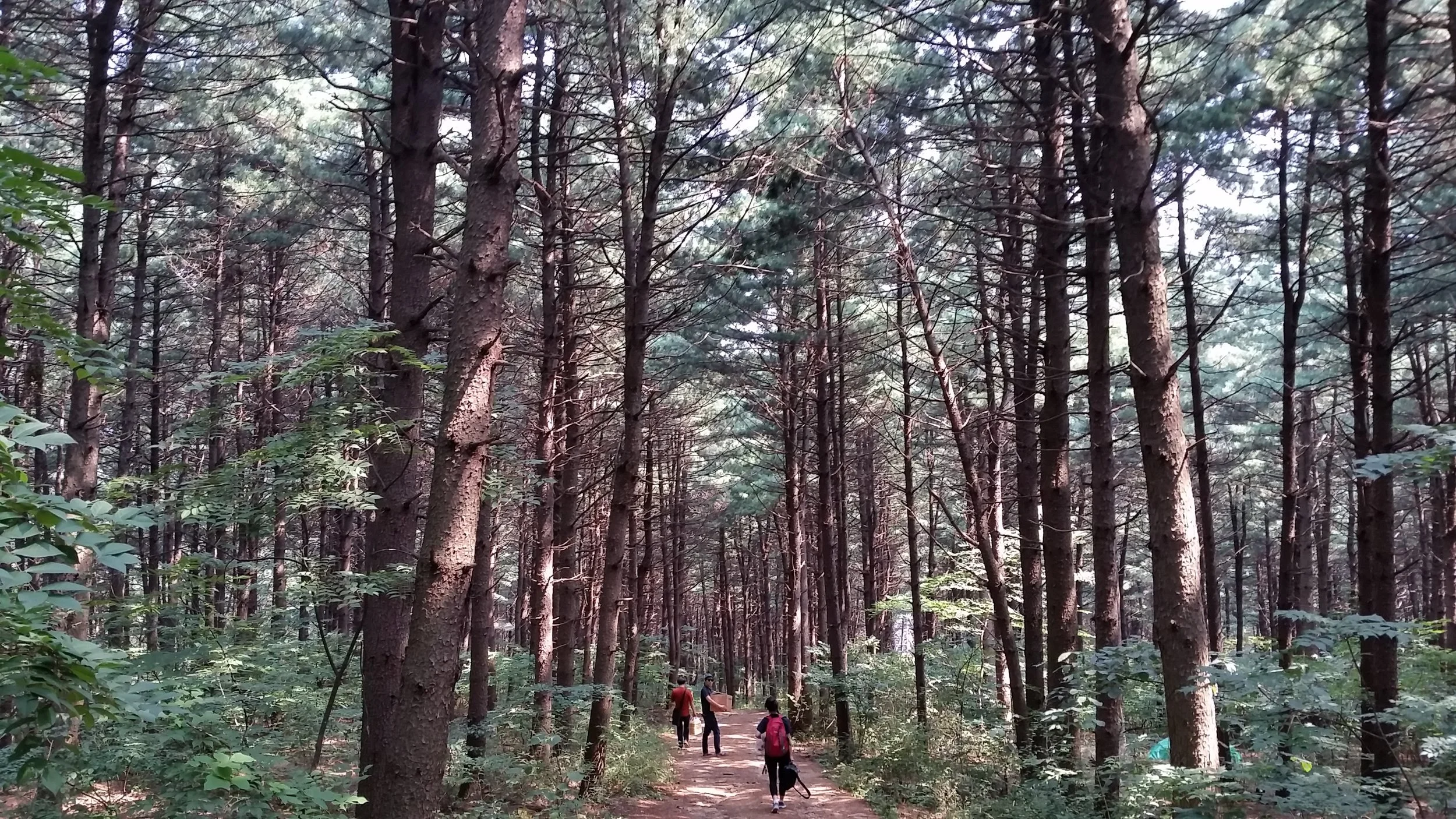 20150831_112256.jpg