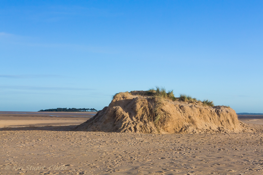 29-Remains of smaller landmark dune.jpg