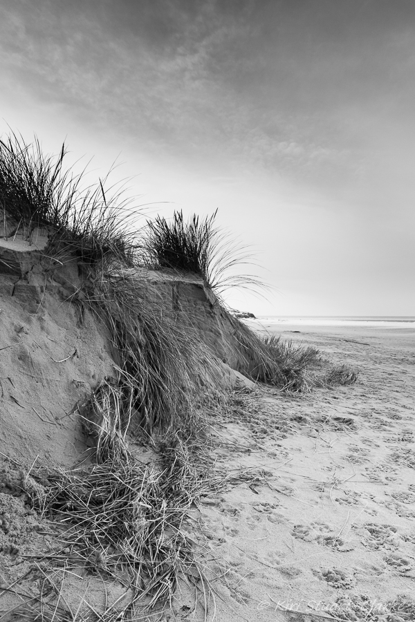  Black and white dunes 