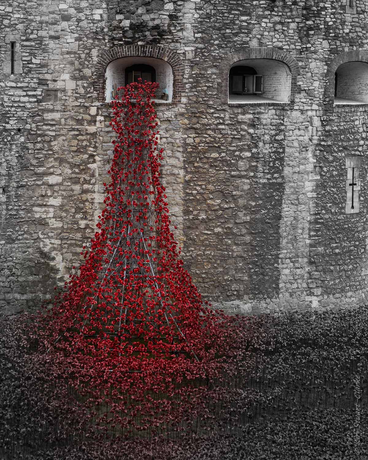 Poppy cascade