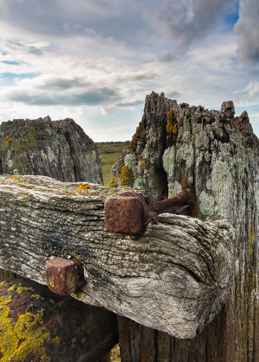 Wood, Salt and Iron