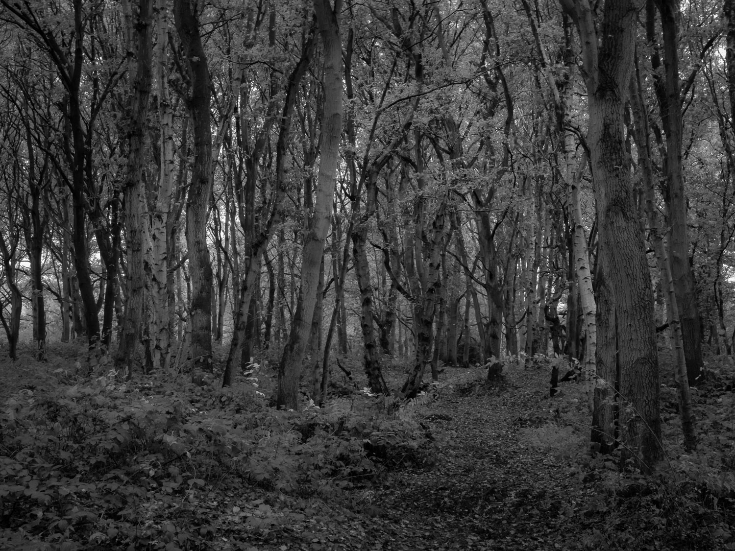 Winter beckons