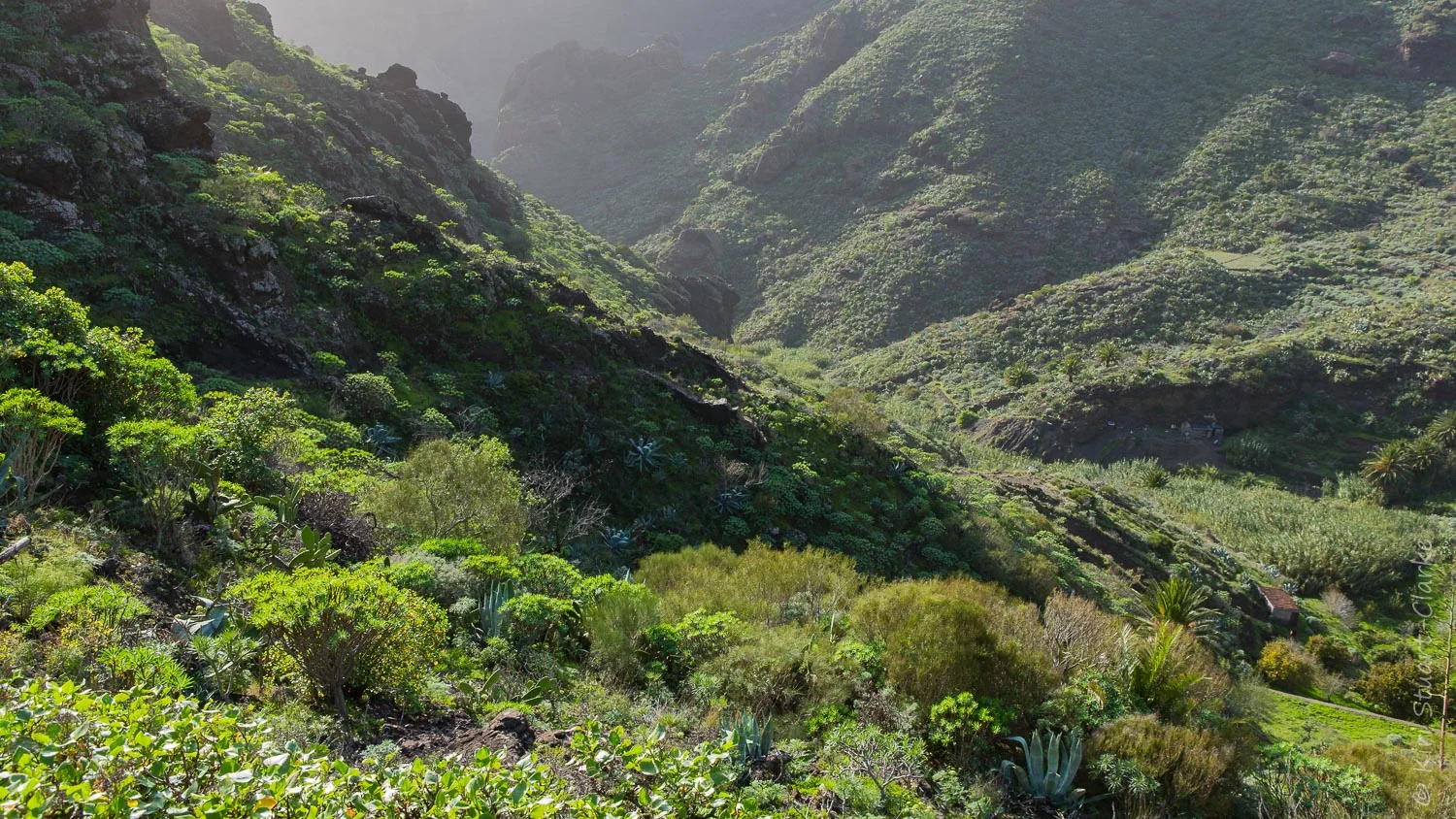 La Masca Barranco
