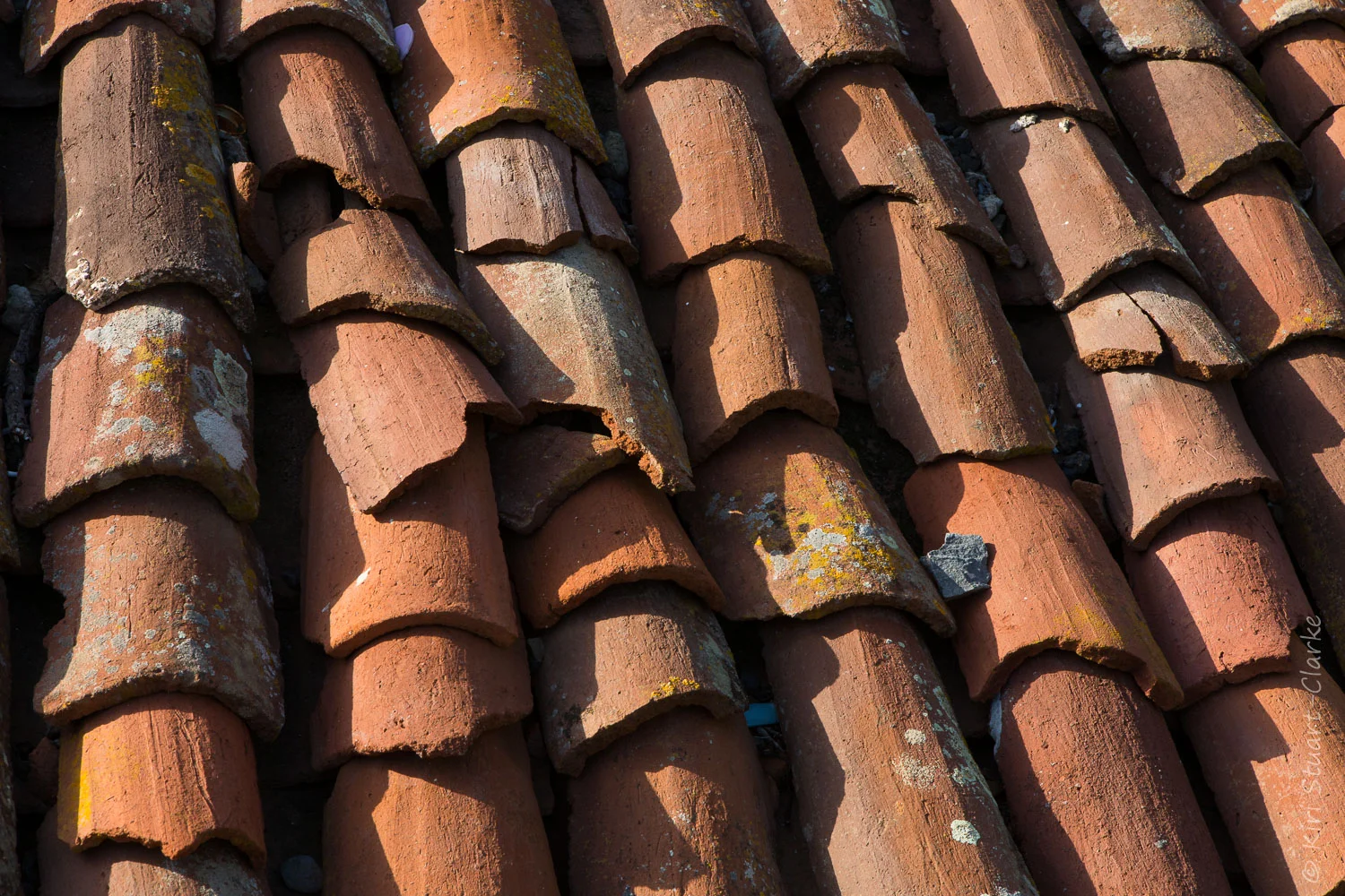 Red Roof