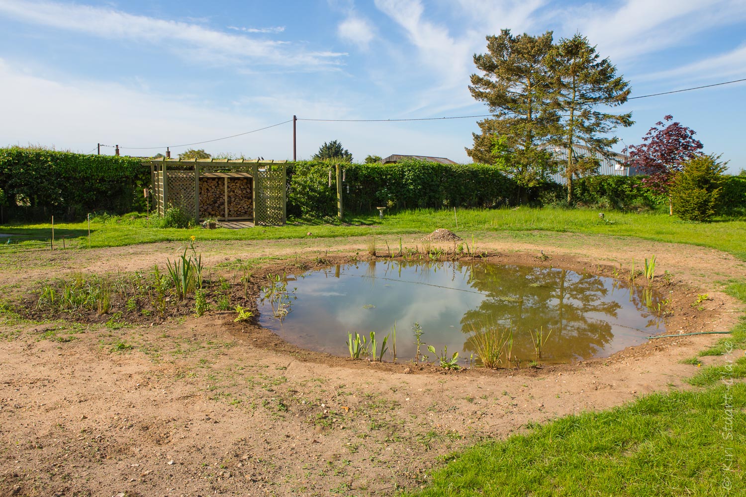 Nar Cottage pond new planted in May 2014