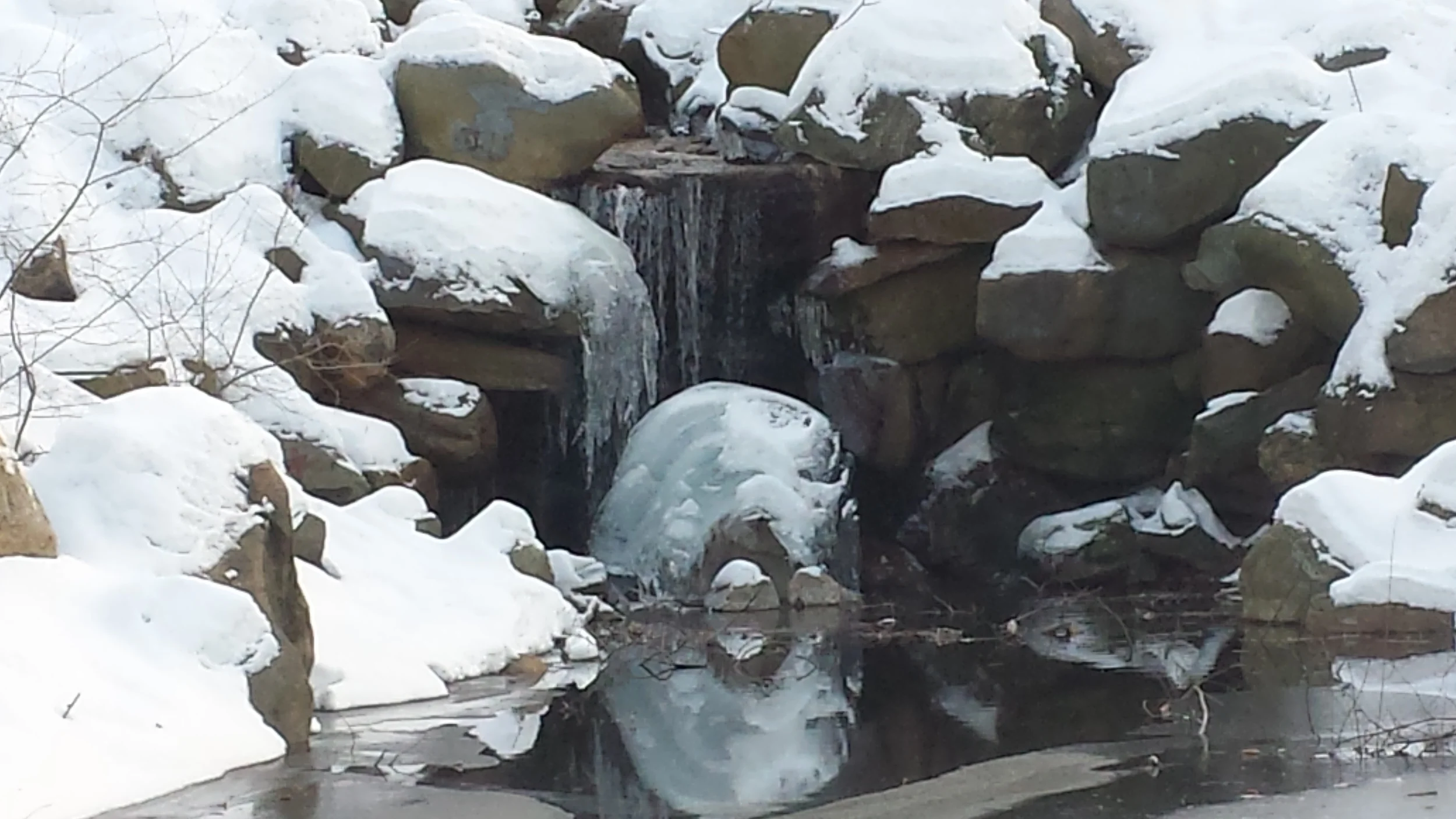 Frozen Waterfall in Prospect Park