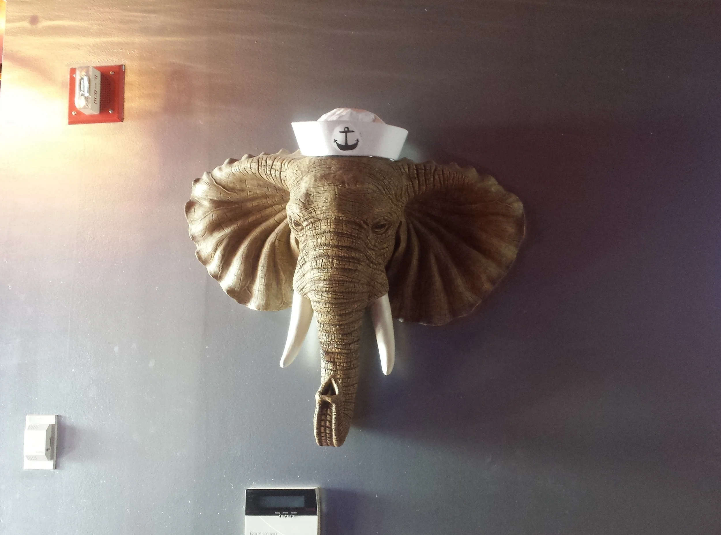 The Elephant Sailor