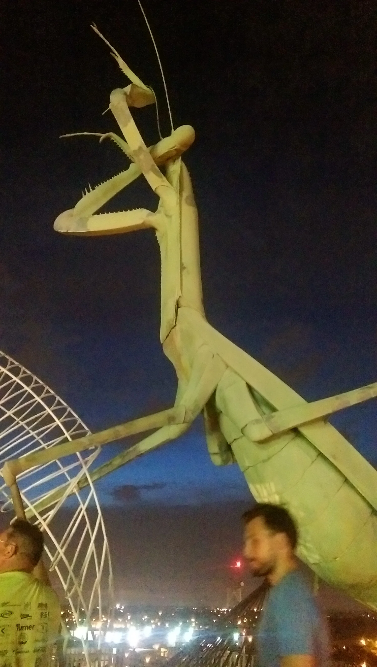 Giant Praying Mantis