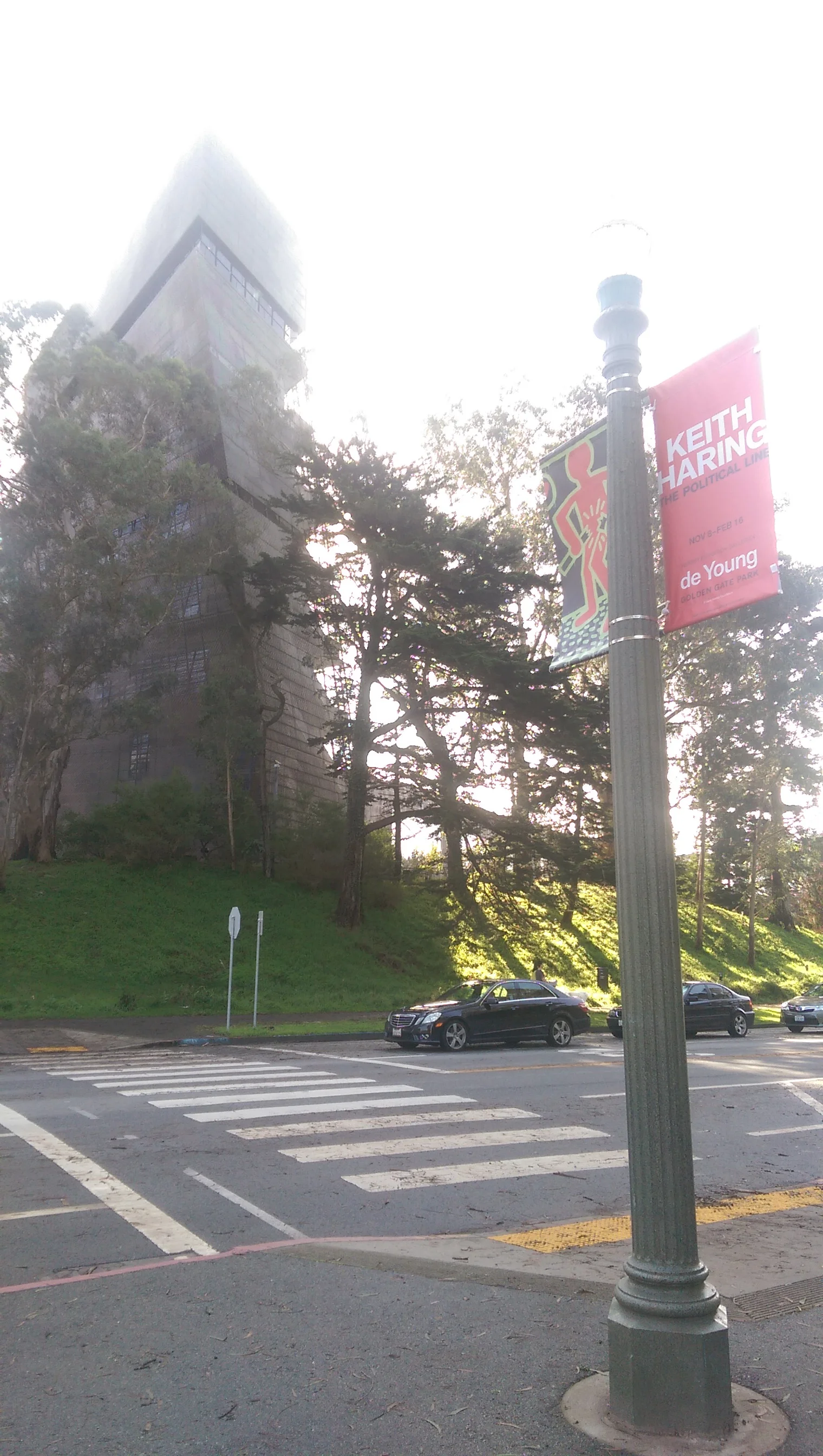 de Young Museum