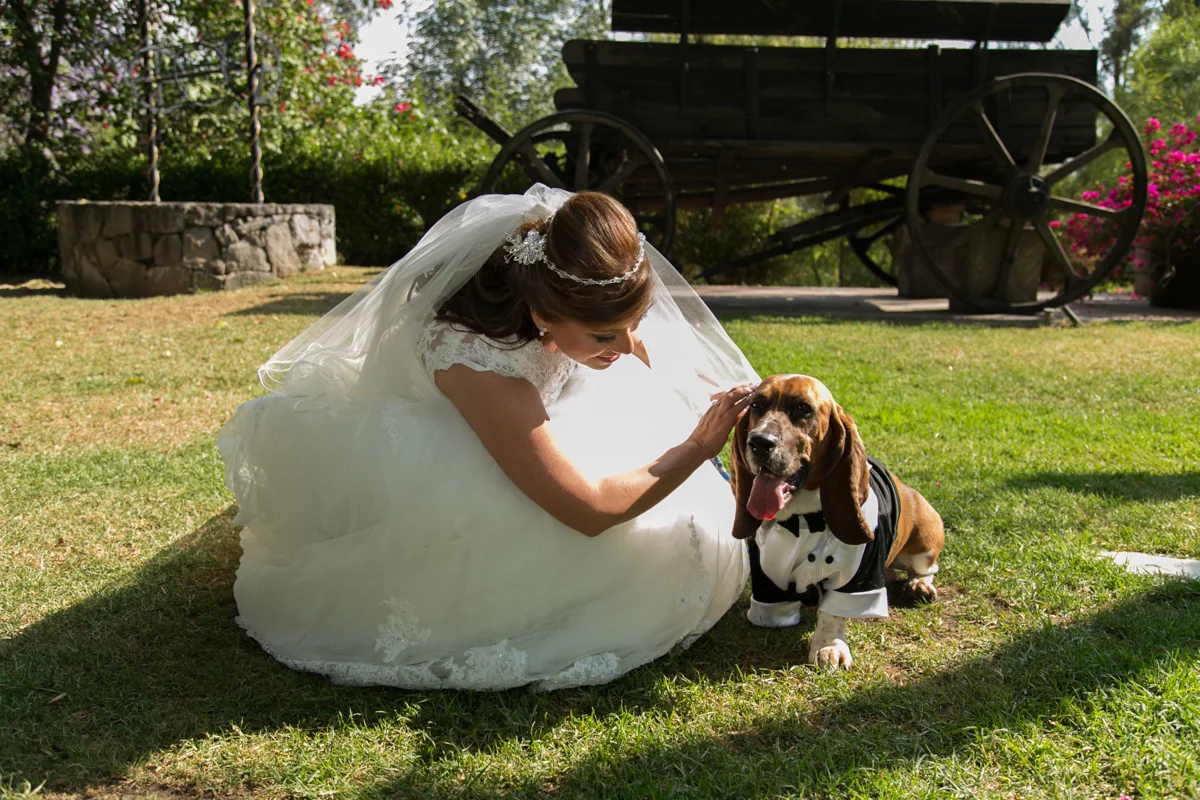 R&E (129 of 675).jpg