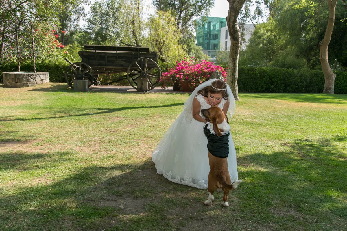 R&E (131 of 675).jpg