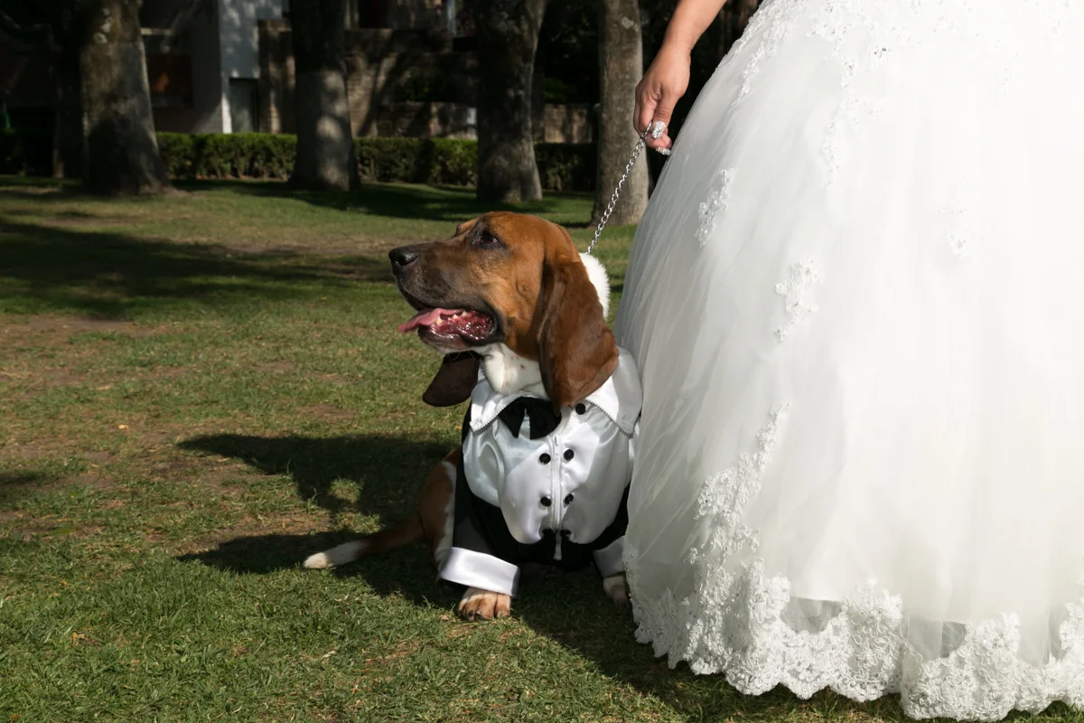 R&E (135 of 675).jpg