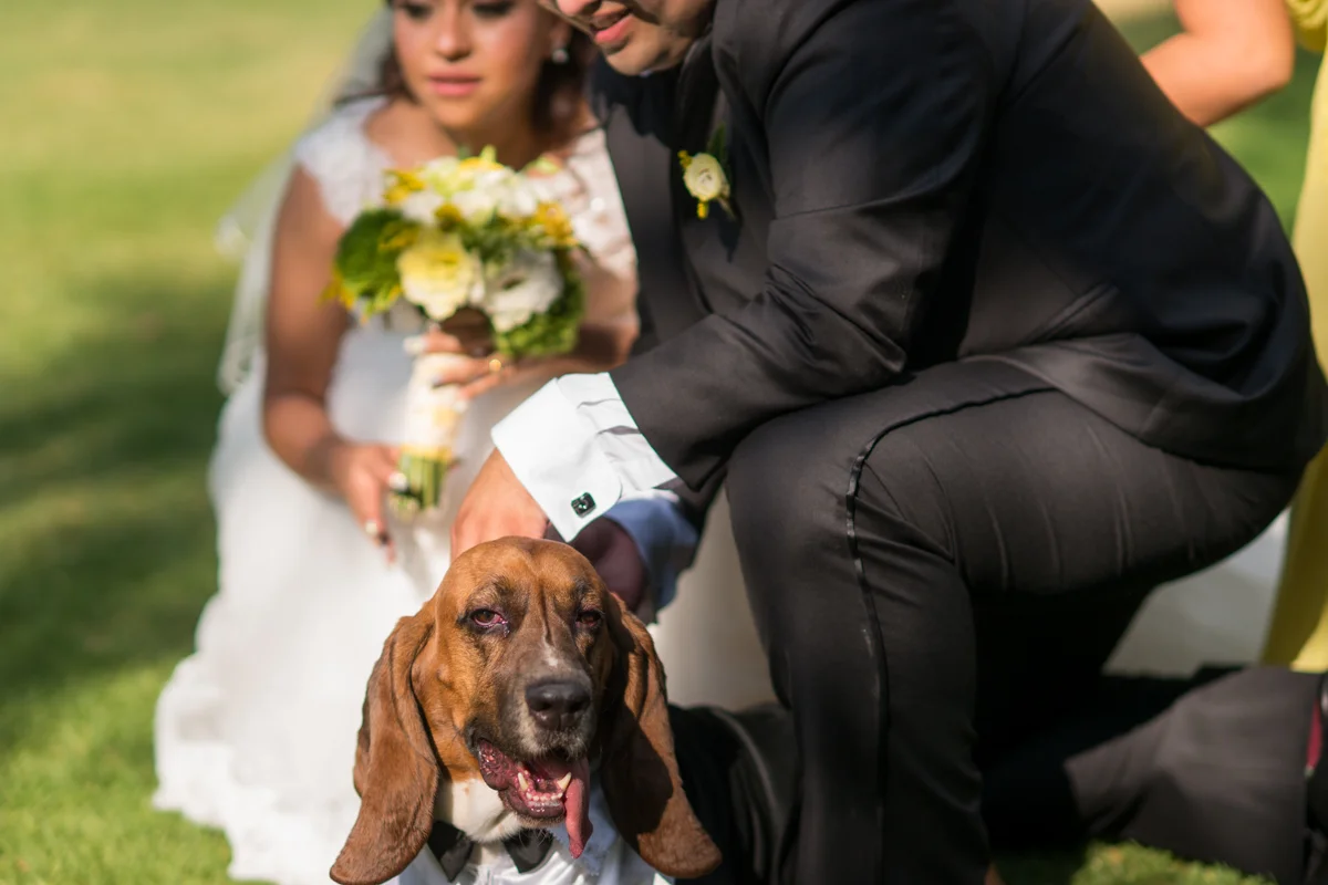 R&E (161 of 675).jpg