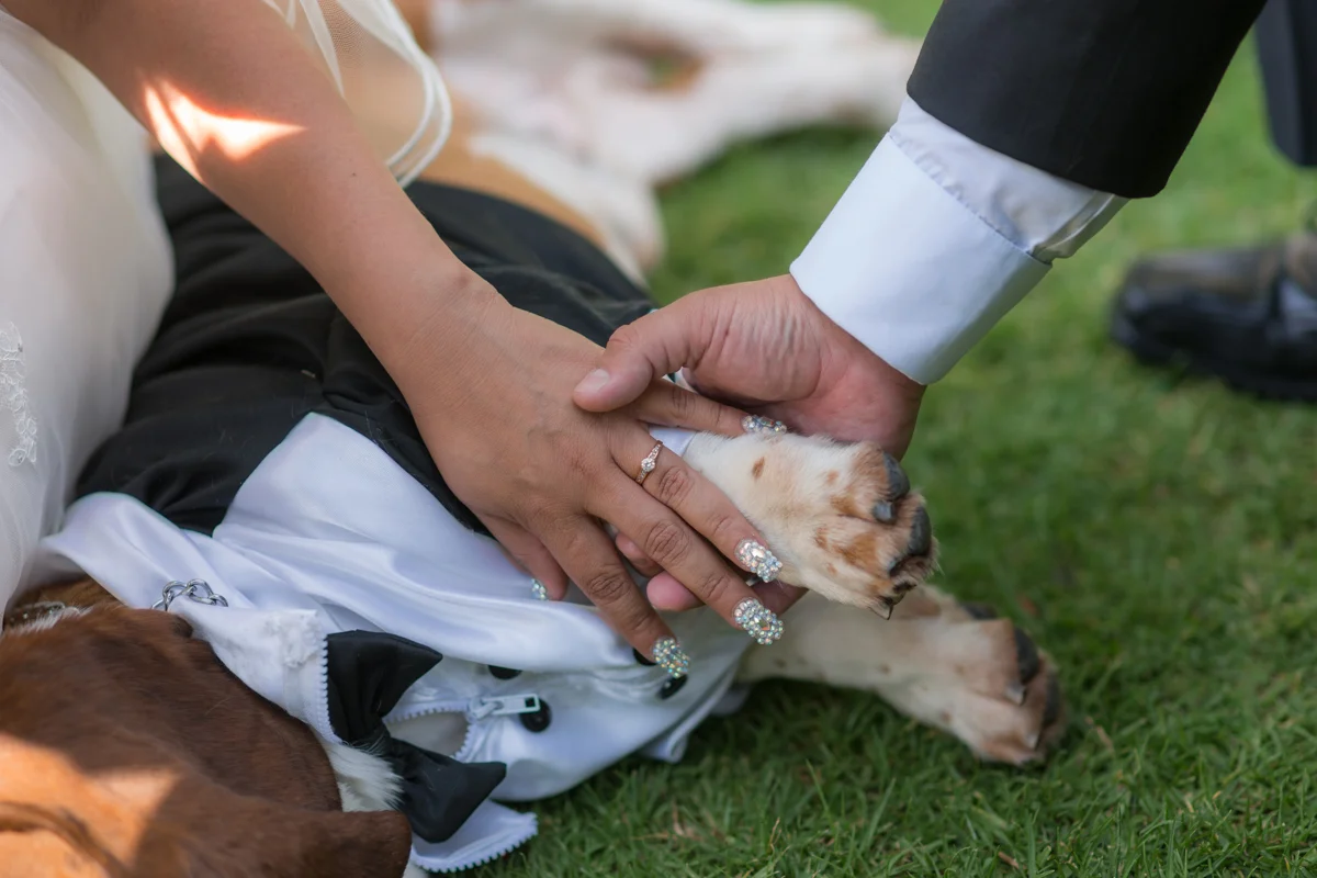 R&E (166 of 675).jpg