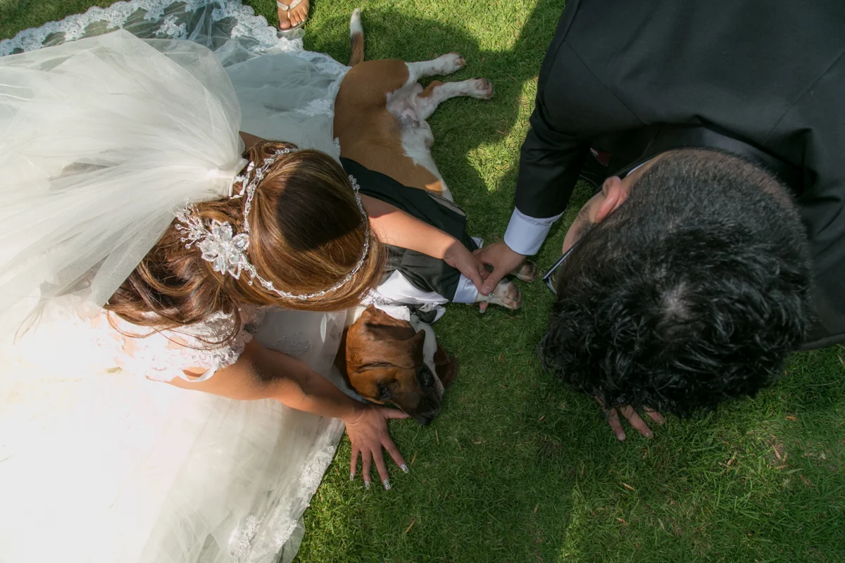 R&E (167 of 675).jpg