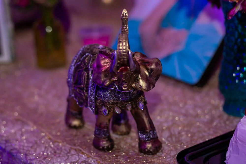 wedding shooters xv ana paula 2019-37.jpg