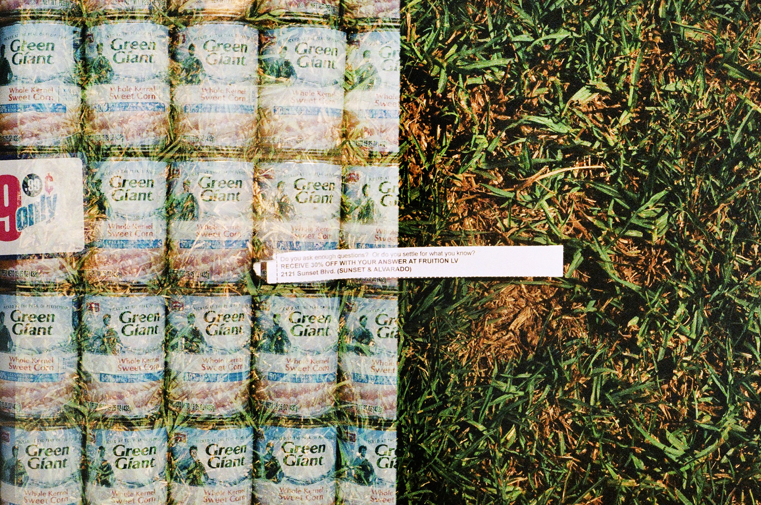 Green Giant ©amandabjornphotography