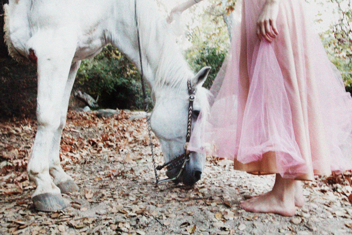 The Childhood Series , 2013