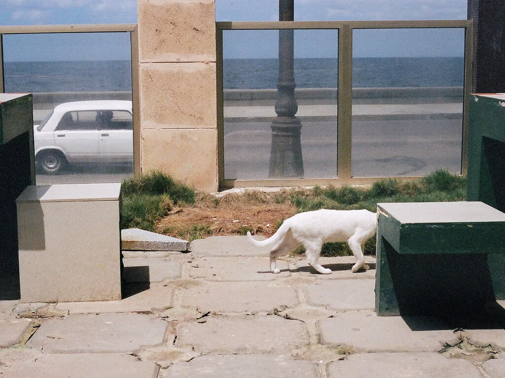 ISLAND TIME images.010.jpeg