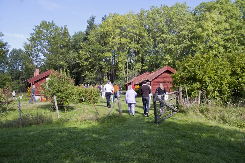 Till Hemmingtorp