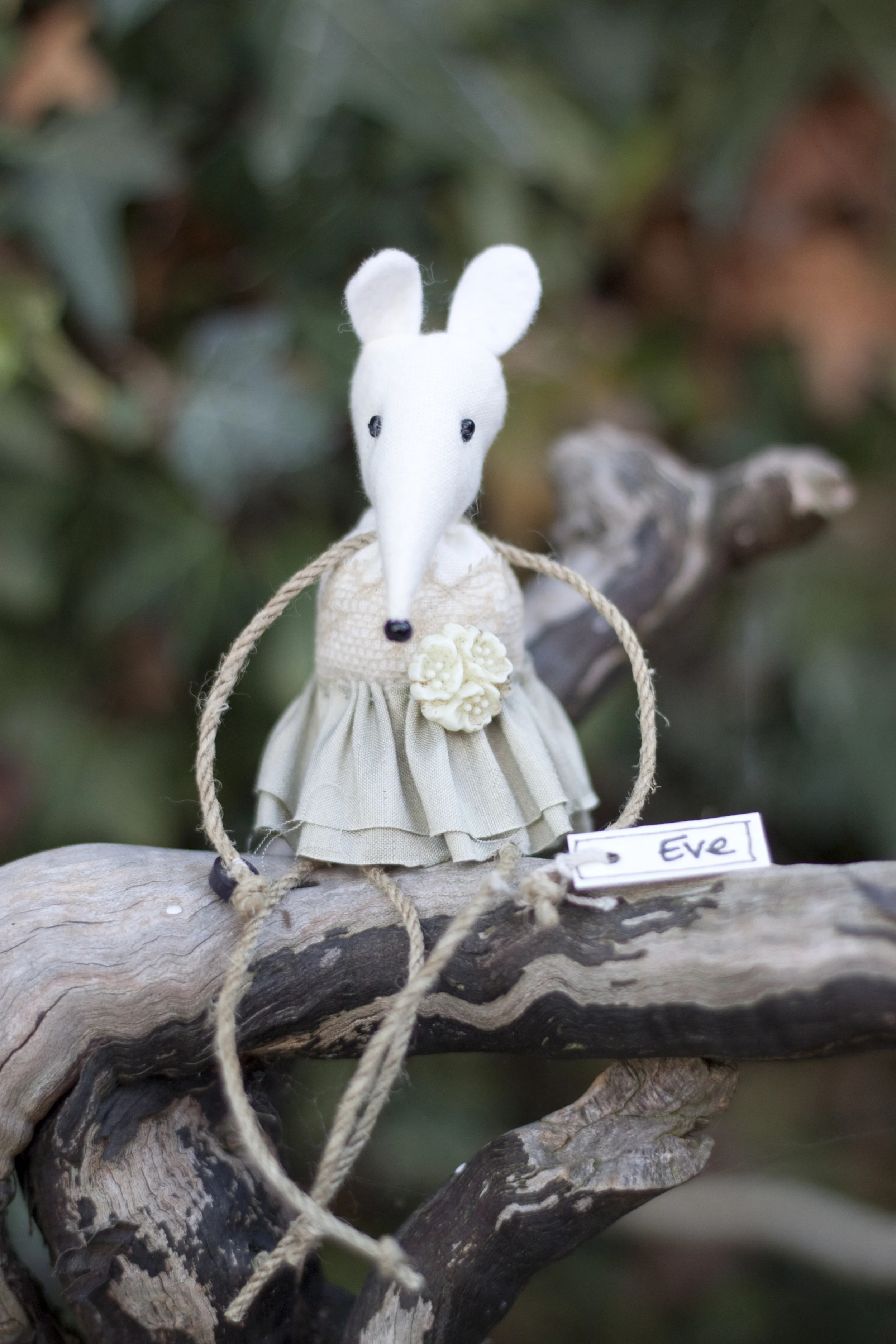 Eve Mouse